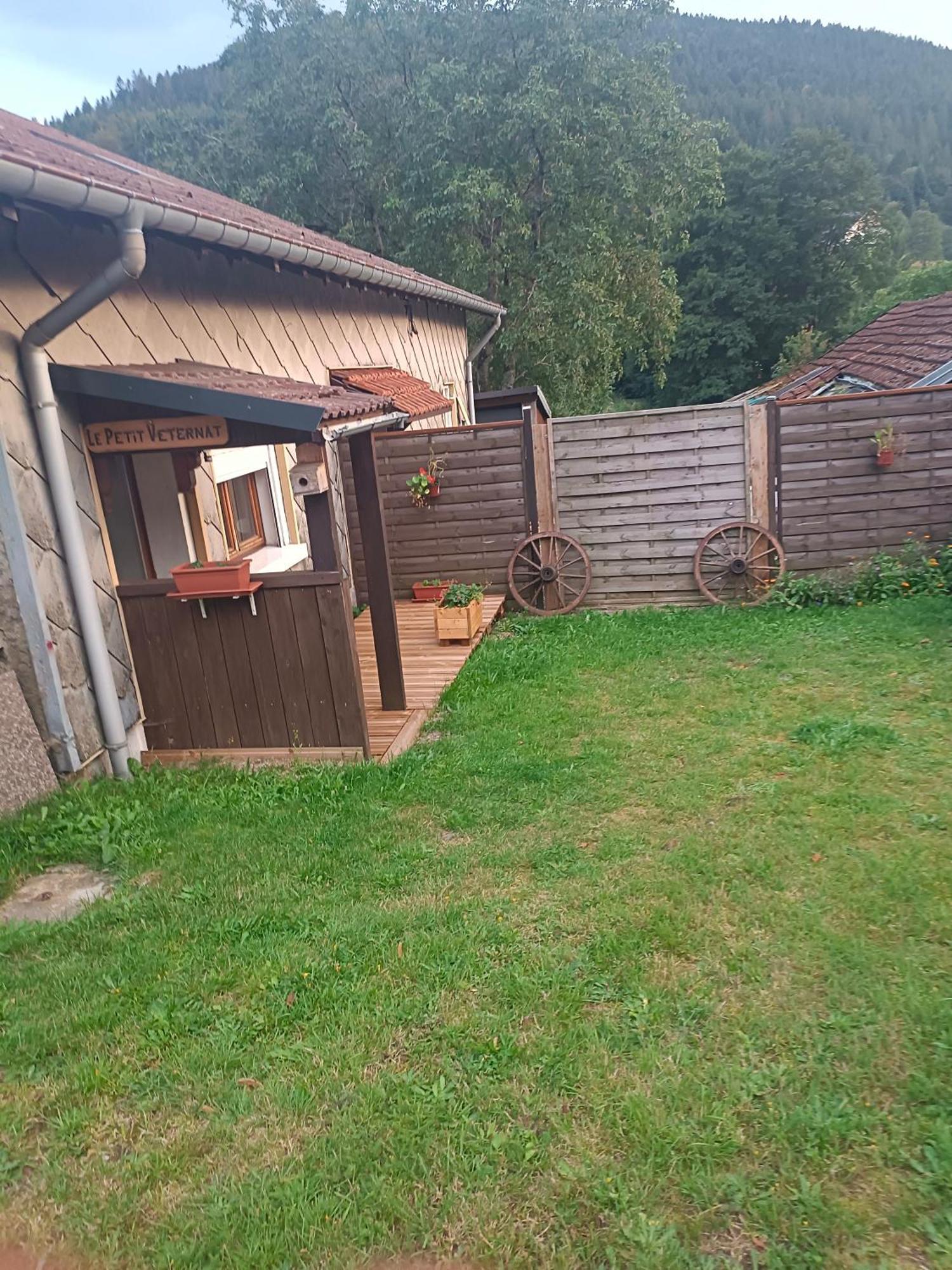 Appartement Le Petit Veternat à Ventron Extérieur photo